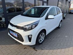 Schneeweiss Gebraucht 2024 Kia Picanto Vision Kleinwagen | 14.990 € (Guter Preis)