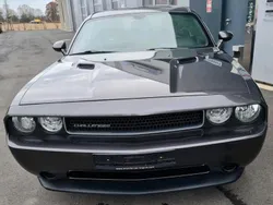 Grau Gebraucht 2013 Dodge Challenger Coupé | 15.200 € (Etwas zu teuer)