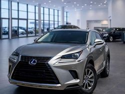Grau Gebraucht 2019 Lexus NX300h Business Edition SUV | 24.500 € (Guter Preis)