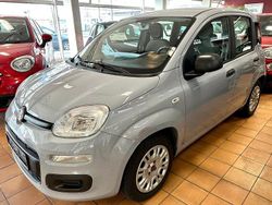 Grau Gebraucht 2022 Fiat Panda Kleinwagen | 8.900 € (Fairer Preis)