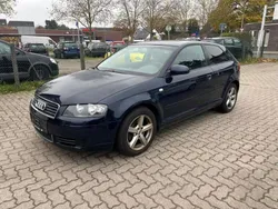 Blau Gebraucht 2003 Audi A3 Coupé | 3.990 € (Fairer Preis)