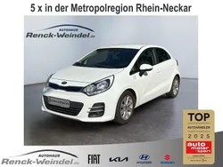 Weiß Gebraucht 2016 Kia Rio 2 Limousine | 10.989 € (Teuer)