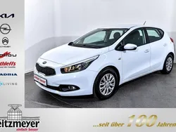 Weiß Gebraucht 2015 Kia Ceed Attract Limousine | 8.990 € (Teuer)