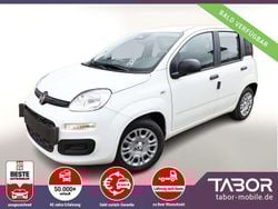 Gelato weiß Neu 2025 Fiat Panda Kleinwagen | 13.644 € (Guter Preis)