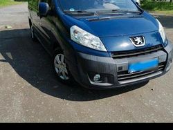 Blau Gebraucht 2010 Peugeot Expert Van | 8.700 € (Teuer)