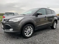 Grau Gebraucht 2015 Ford Kuga Titanium SUV | 8.850 € (Guter Preis)