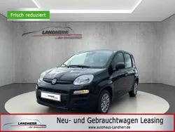 Schwarz Neu 2025 Fiat Panda Kleinwagen | 12.995 € (Guter Preis)