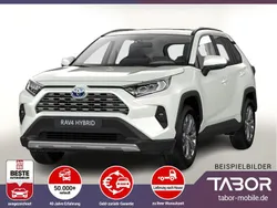 Andere farbe Neu 2025 Toyota RAV4 Hybrid Team SUV | 39.930 € (Guter Preis)