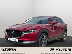 Rot Gebraucht 2021 Mazda CX-30 Selection SUV | 23.990 € (Guter Preis)