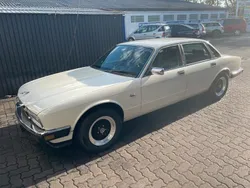 Weiß Gebraucht 1990 Jaguar XJ40 Limousine | 8.490 €