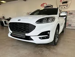 Weiß Gebraucht 2024 Ford Kuga ST-Line X SUV | 28.990 € (Superpreis)