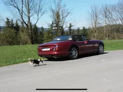 Rot Gebraucht 1996 TVR Chimaera Cabrio | 37.999 €