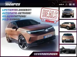 Braun Neu 2025 Opel Grandland X SUV | 40.600 € (Teuer)
