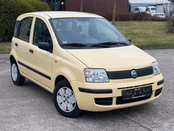 Gelb Gebraucht 2009 Fiat Panda Active Kleinwagen | 1.650 € (Guter Preis)