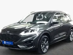 Grau Gebraucht 2024 Ford Kuga ST-Line SUV | 31.926 € (Superpreis)