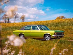 Grün Gebraucht 1973 Opel Admiral Limousine | 9.999 €