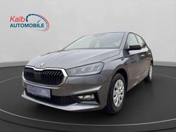 Grau Gebraucht 2024 Skoda Fabia Selection Limousine | 18.888 € (Fairer Preis)