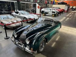 Grün Gebraucht 1958 Jaguar XK Cabrio | 109.900 €