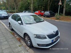 Weiß Gebraucht 2014 Skoda Octavia Ambition Limousine | 7.900 € (Etwas zu teuer)