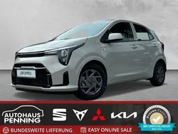 Rot Gebraucht 2024 Kia Picanto Vision Kleinwagen | 15.850 € (Fairer Preis)