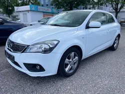 Weiß Gebraucht 2011 Kia ProCeed Kleinwagen | 3.900 €