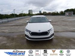 Candy weiß Gebraucht 2024 Skoda Octavia Style Kombi | 32.900 € (Fairer Preis)