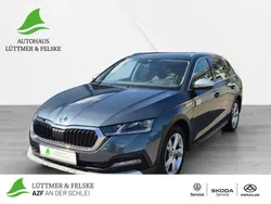 Grau Gebraucht 2022 Skoda Octavia Scout 4x4 Kombi | 25.880 € (Fairer Preis)