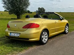 Gold Gebraucht 2004 Peugeot 307 CC Cabrio | 2.650 € (Etwas zu teuer)