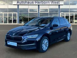 Schwarz Gebraucht 2024 Skoda Octavia Kombi | 28.950 € (Guter Preis)