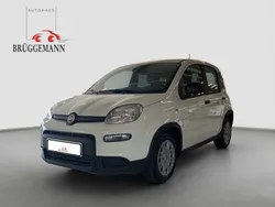 Weiß Neu 2025 Fiat Panda Kleinwagen | 13.990 €
