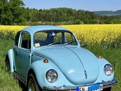 Blau Gebraucht 1972 VW Käfer Limousine | 11.700 €