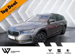 Grau Neu 2024 Skoda Octavia Selection Kombi | 34.291 € (Fairer Preis)