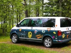 Andere außenfarben Gebraucht 2015 VW T6 Van | 37.999 €