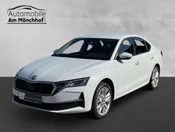 Weiß Neu 2024 Skoda Octavia Selection Limousine | 37.900 €