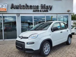 Weiss Gebraucht 2023 Fiat Panda Kleinwagen | 11.719 € (Guter Preis)