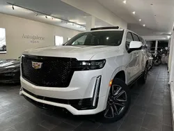 Chrystal white Neu 2025 Cadillac Escalade SUV | 139.800 € (Guter Preis)