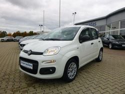 Weiss Gebraucht 2020 Fiat Panda Easy Kleinwagen | 9.400 € (Fairer Preis)