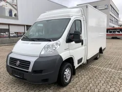 Weiß Gebraucht 2013 Fiat Ducato Van | 20.000 €