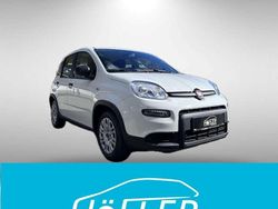 Gelato weiß Neu 2024 Fiat Panda Kleinwagen | 13.990 € (Fairer Preis)