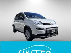 Gelato weiß Neu 2024 Fiat Panda Kleinwagen | 13.990 € (Fairer Preis)