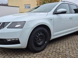 Weiß Gebraucht 2017 Skoda Octavia Drive Kombi | 12.900 € (Guter Preis)