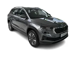 Grau Neu 2025 Skoda Karoq Tour SUV | 37.390 € (Etwas zu teuer)