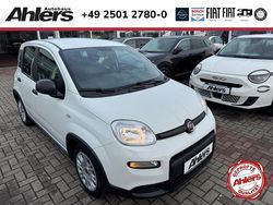 Weiss Gebraucht 2023 Fiat Panda Kleinwagen | 11.990 € (Fairer Preis)