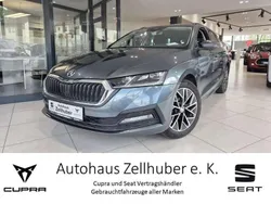 Grau Gebraucht 2021 Skoda Octavia Kombi | 22.869 € (Fairer Preis)
