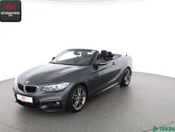 Grau Gebraucht 2015 BMW 220 M Sport Cabrio | 21.880 € (Fairer Preis)