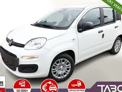 Weiß Neu 2025 Fiat Panda Kleinwagen | 13.748 € (Guter Preis)