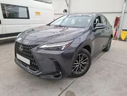 Grau Gebraucht 2023 Lexus NX350h SUV | 46.767 € (Fairer Preis)