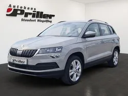 Grau Gebraucht 2020 Skoda Karoq Style SUV | 24.900 € (Teuer)