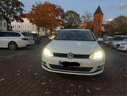 Weiß Gebraucht 2016 VW Golf VII Allstar Kleinwagen | 10.300 €