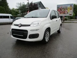 Weiß Gebraucht 2018 Fiat Panda Easy Kleinwagen | 6.300 € (Guter Preis)